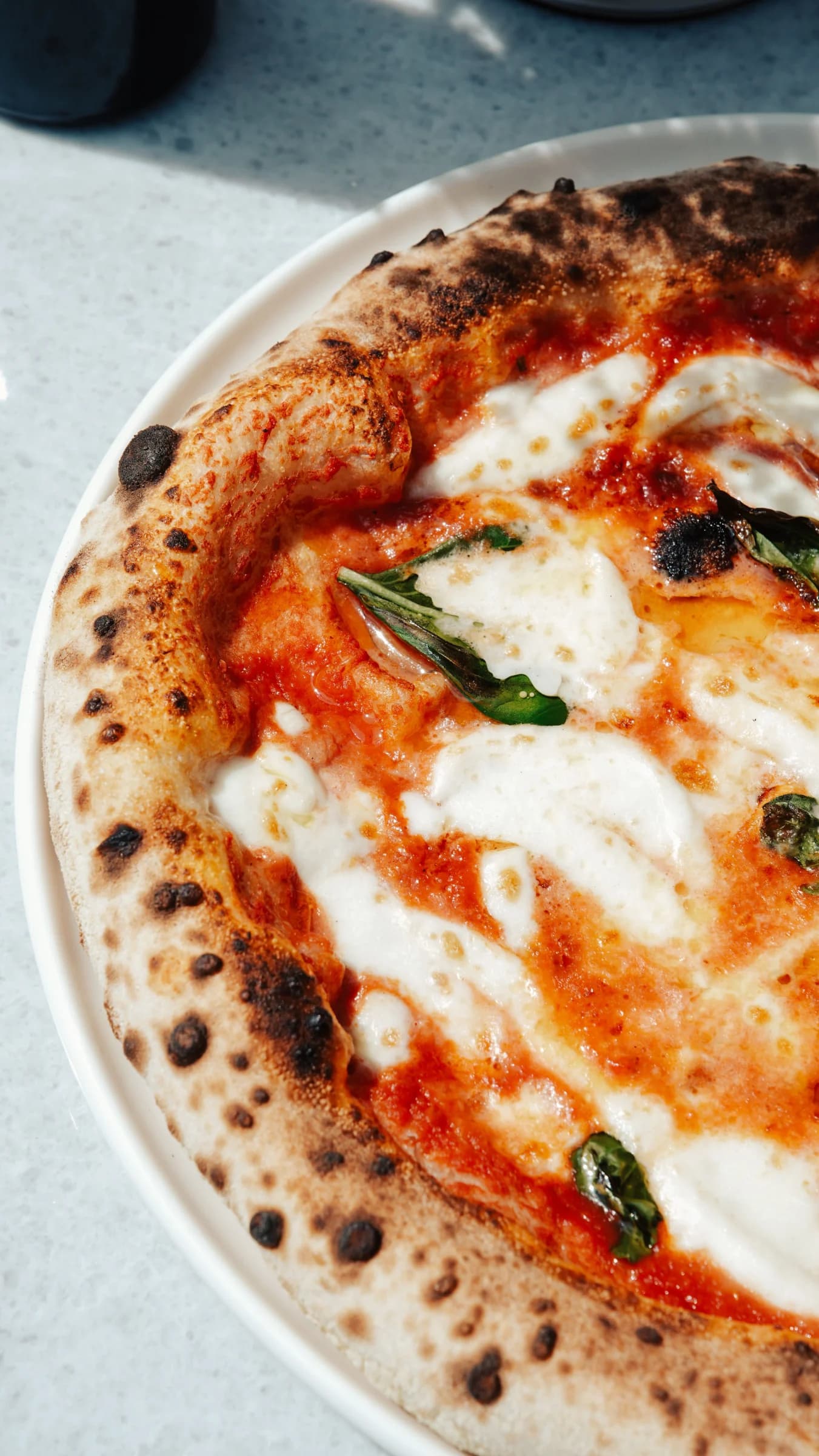 Pizza margherita appena sfornata